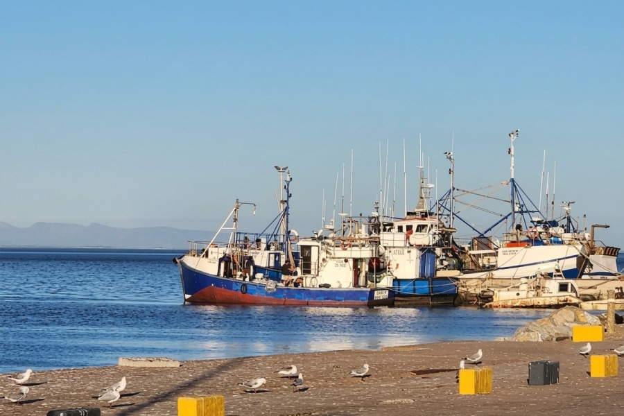0 Bedroom Property for Sale in St Helena Bay Western Cape